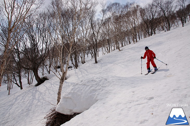 DYNASTAR SKI series Test Ride Days 2017 in ニセコユナイテッド【Day.1】～ニセコグラン・ヒラフ～